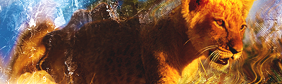 africanlion.png