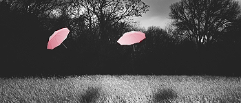 umbrellas2.png