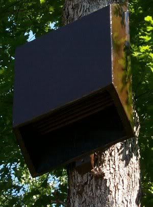 13) Install a Bat House for Natural Pest Control