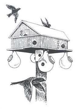 Purple Martin Bird House Building Plans