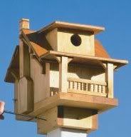 Decorative Bird House Plans