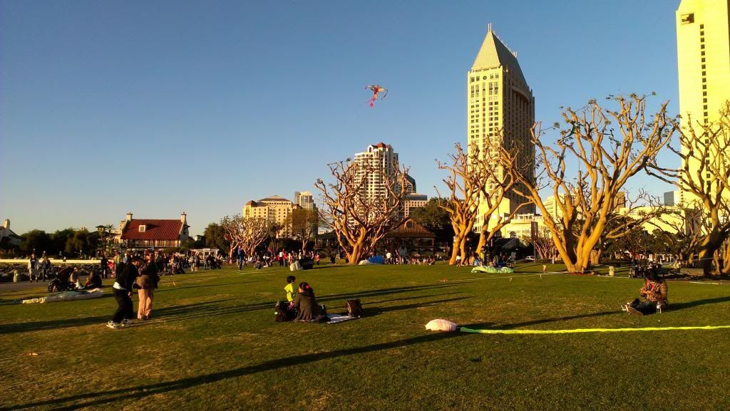 IMAG0185_zps50f38cf9.jpg