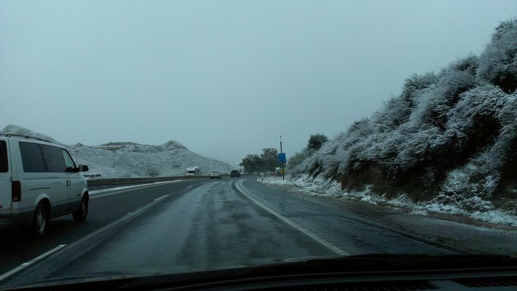 IMAG0339_zps78f935b4.jpg