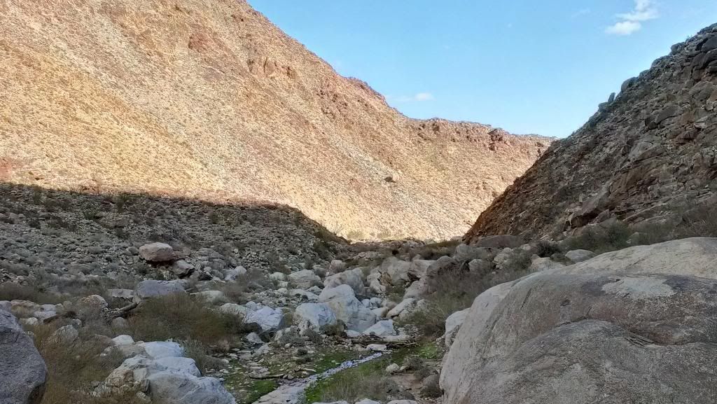 IMAG0419_zps43400011.jpg