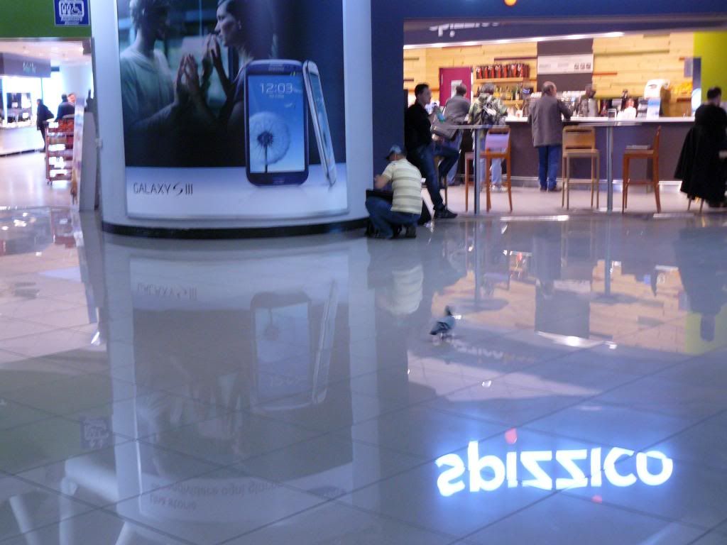 P1100277_zps6c1a7bb9.jpg