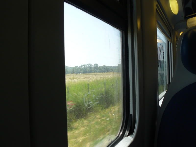 P1050644.jpg