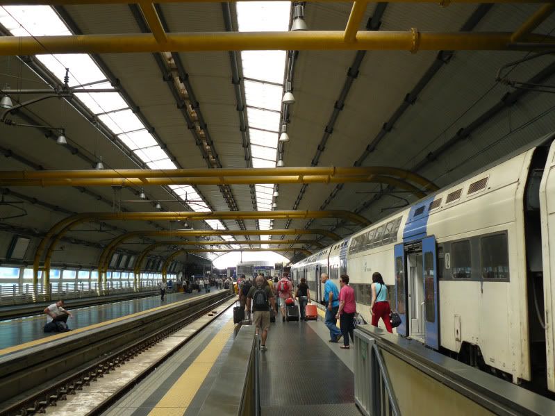 P1050645.jpg