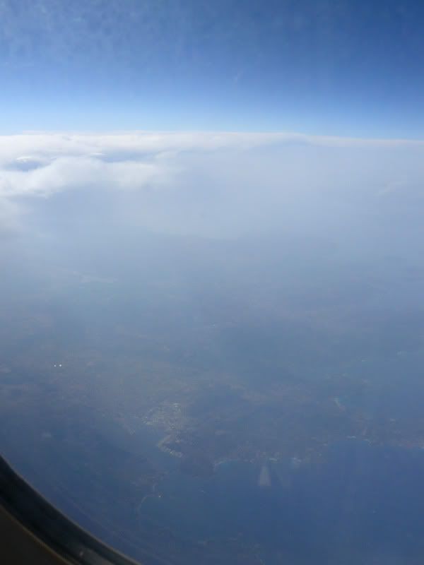 P1050668.jpg