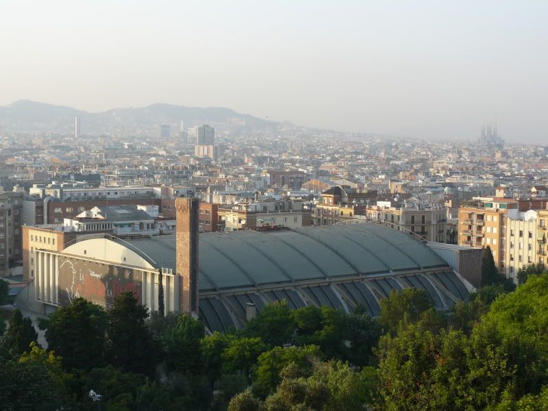 P1050699.jpg