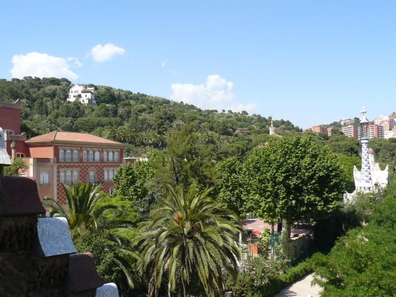 P1050718.jpg