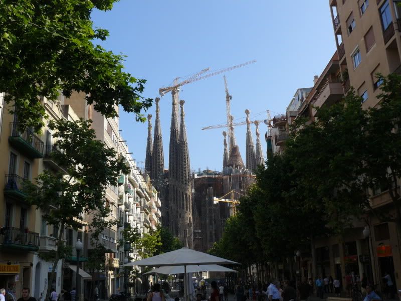 P1050724.jpg