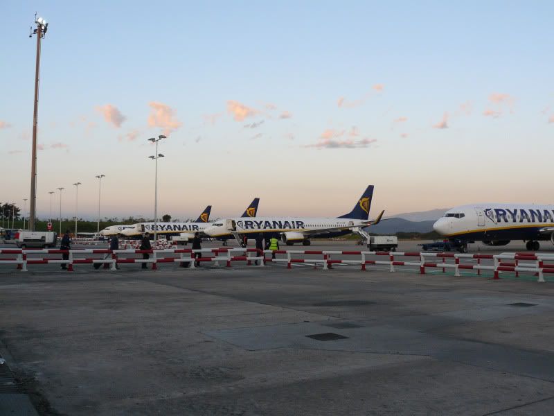 P1050741.jpg