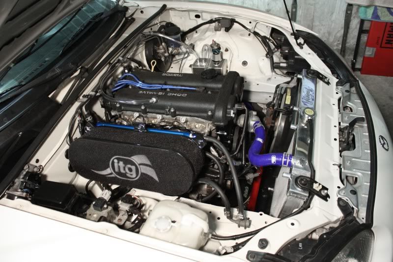 [Image: IMG_2205_edit.jpg]