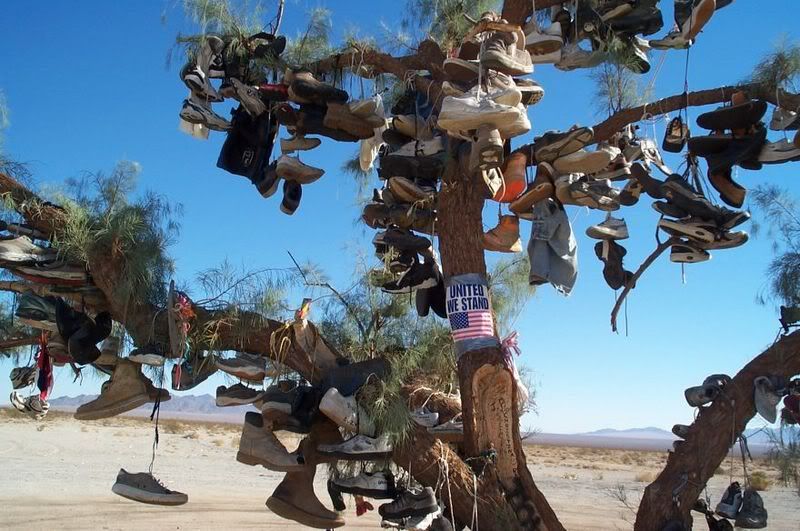 Shoe Tree