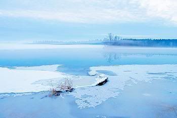 Icy Blue Fog