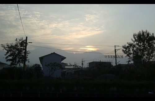 ชีวิตที่ลงตัว