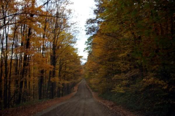 Cabinautum10-23-2007031.jpg
