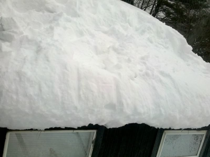Phonepicssnow044.jpg