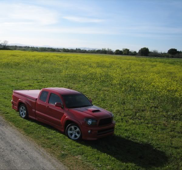 field1.jpg