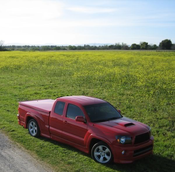 field2.jpg