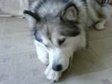 DSC00224.jpg