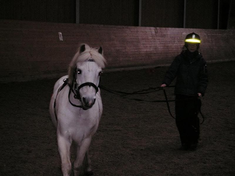 Hstarnakrkursfebruari2007003ljuslit.jpg