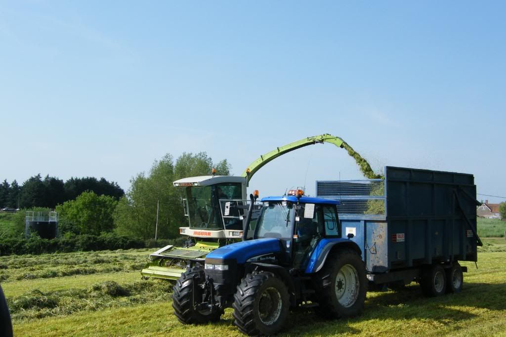 Silage08004.jpg