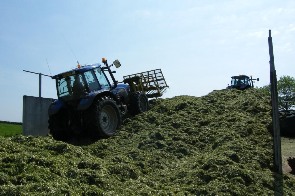 Silage08008.jpg