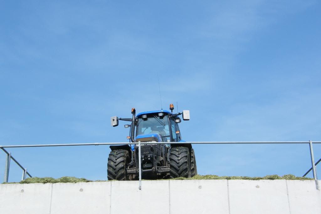 Silage08011.jpg