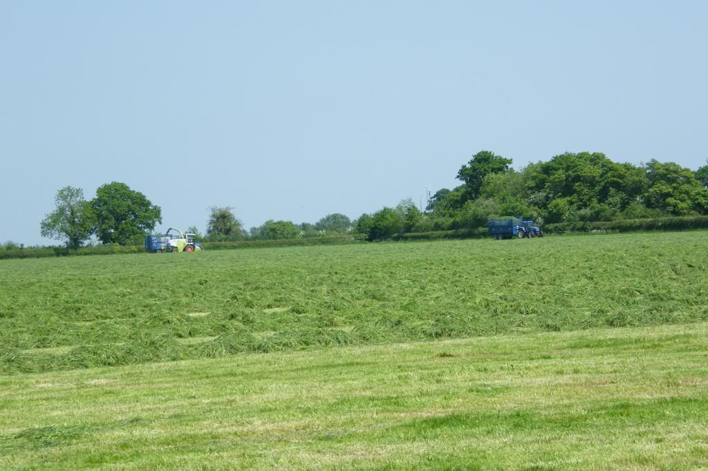 Silage08012.jpg