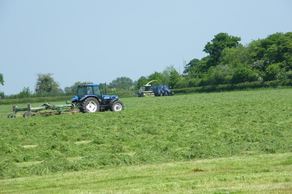 Silage08015.jpg