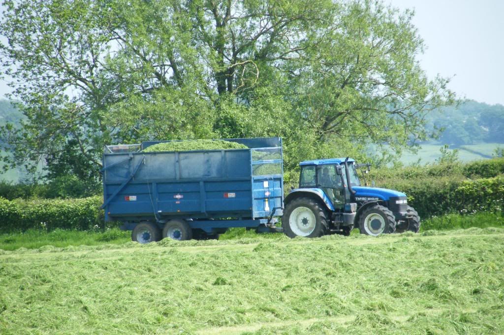 Silage08016.jpg