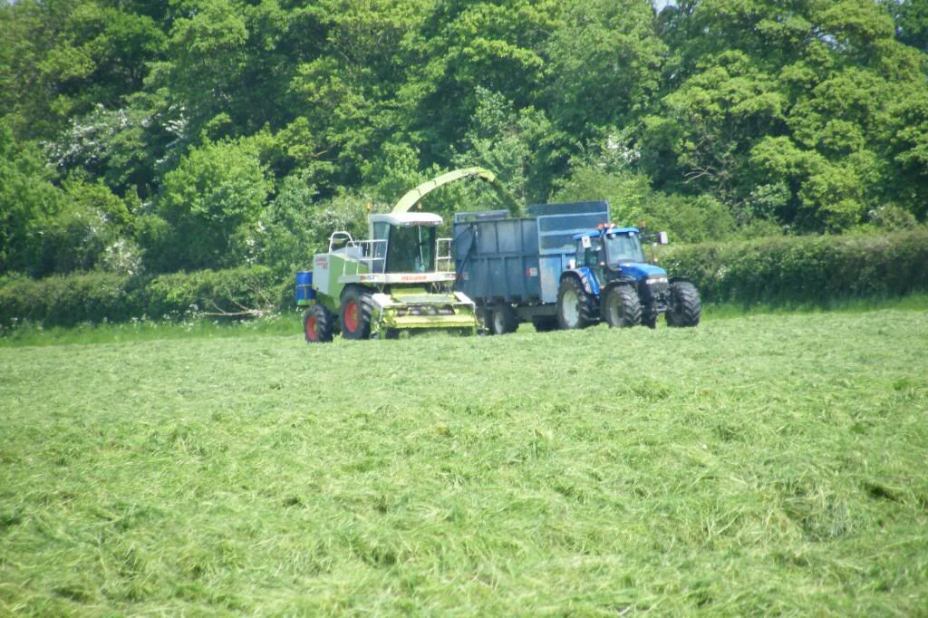 Silage08017.jpg