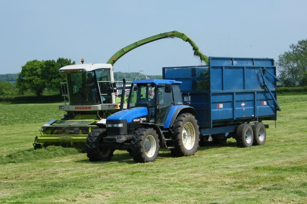 Silage08020.jpg