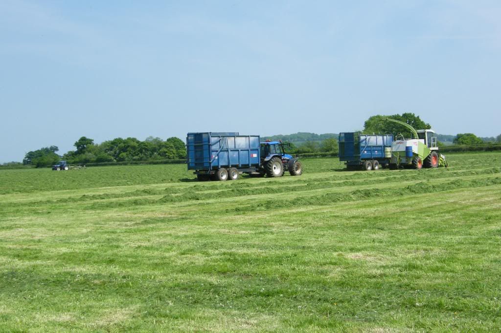 Silage08021.jpg