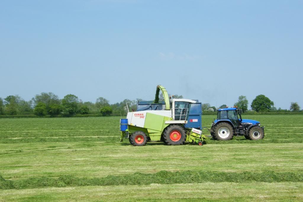 Silage08025.jpg