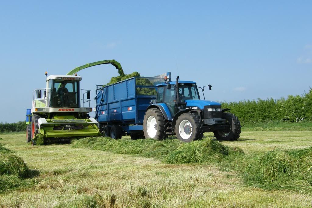 Silage08032.jpg