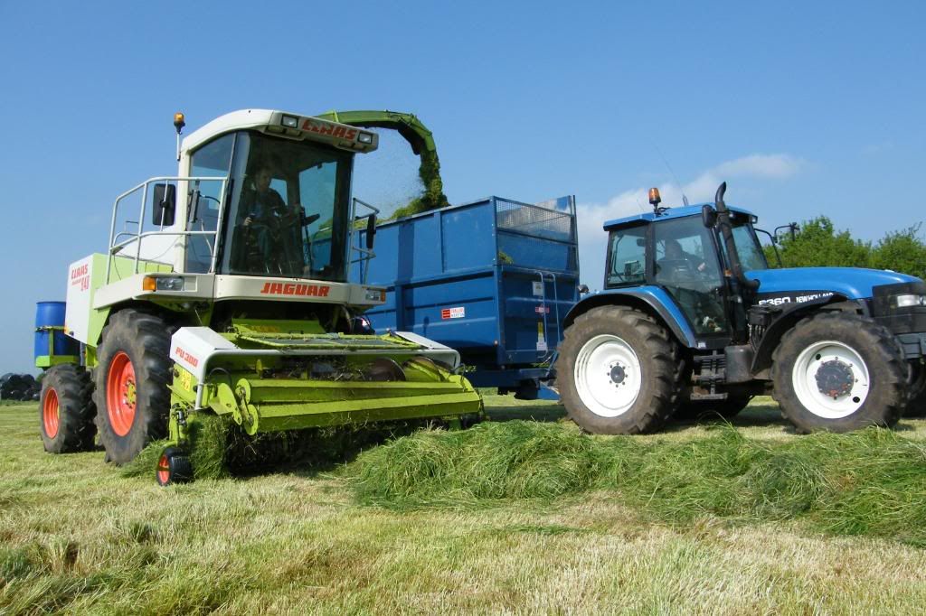 Silage08033.jpg