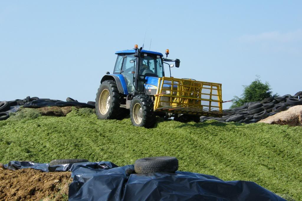 Silage08043.jpg