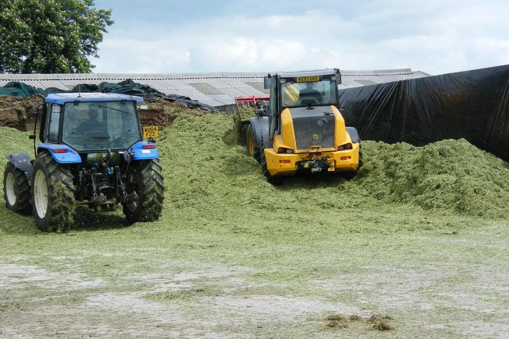 Silage2008004.jpg