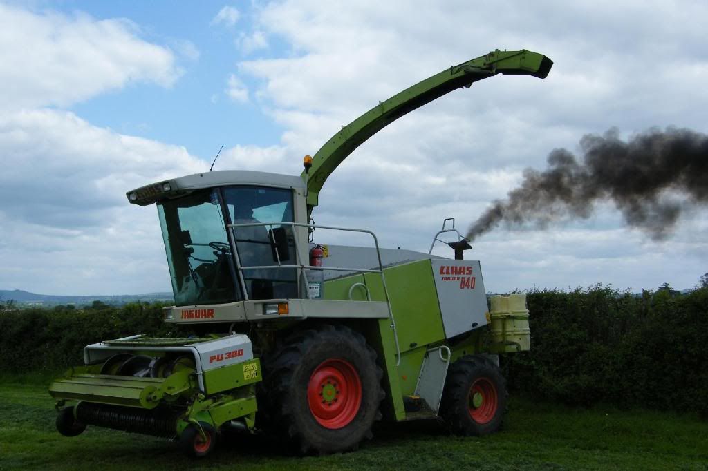 Silage2008006.jpg