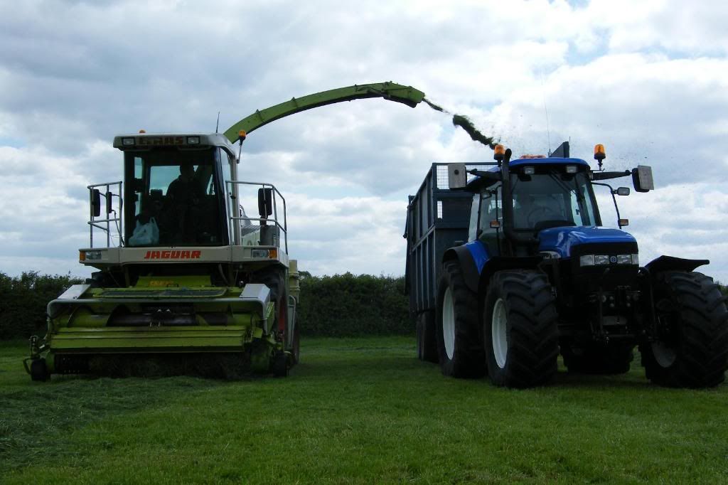 Silage2008007.jpg