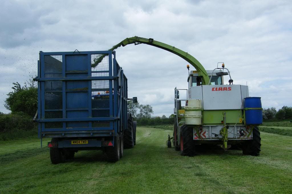 Silage2008008.jpg