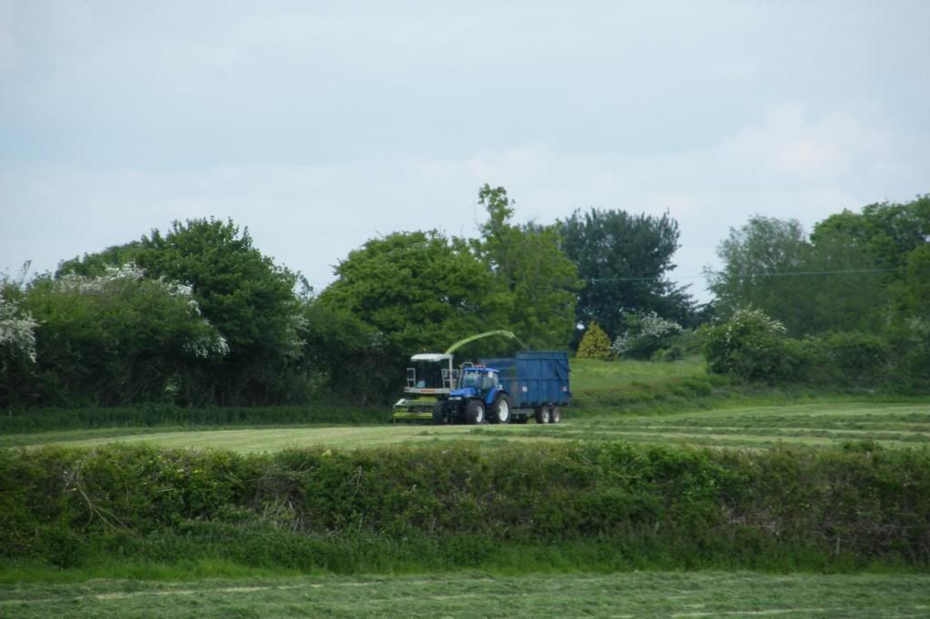 Silage2008009.jpg