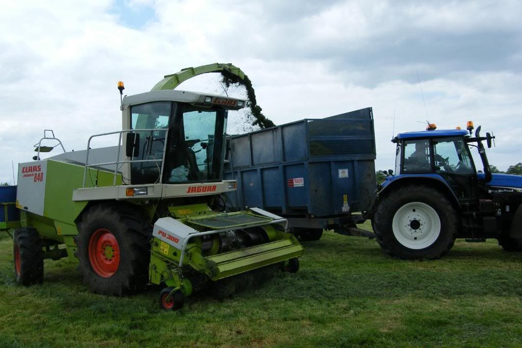 Silage2008013.jpg