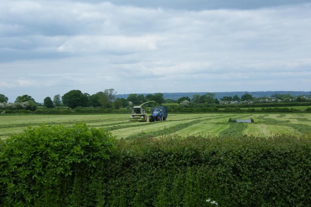 Silage2008014.jpg