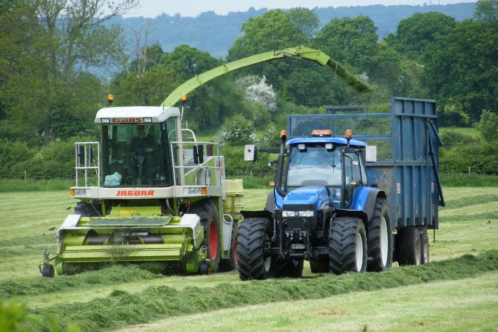 Silage2008015.jpg