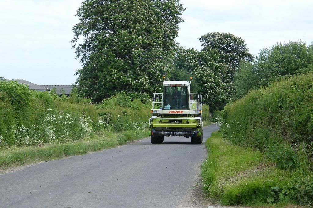 Silage2008016.jpg