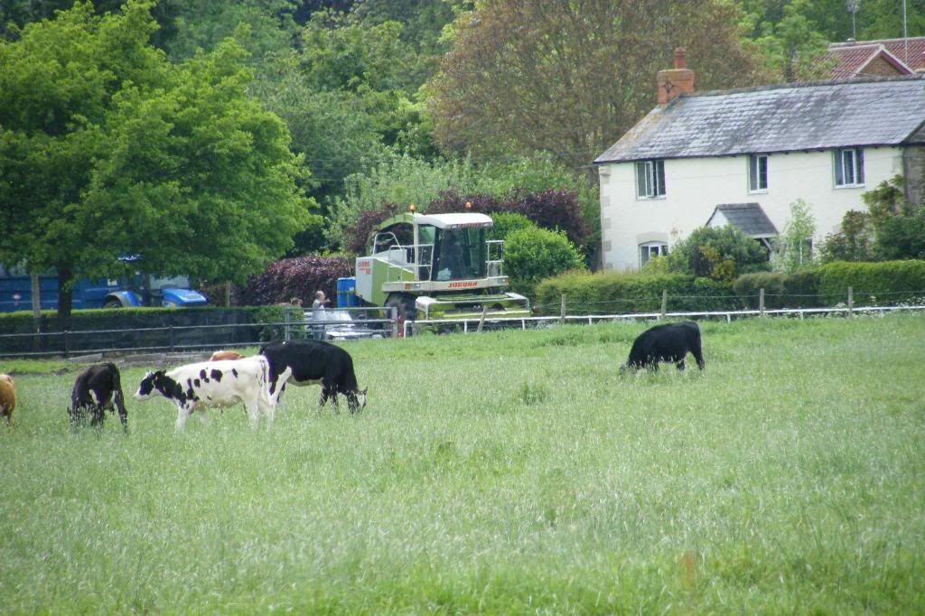 Silage2008019.jpg