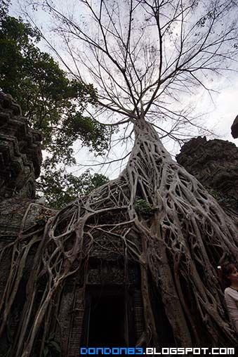 photo CambodiaDayTwo27_zpse22c24a7.jpg